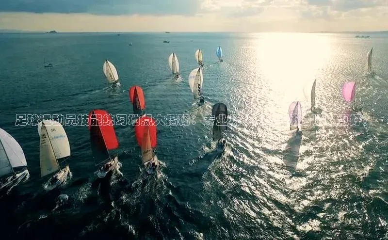 欧陆娱乐平台app下载安装中海达足球运动员技能练习地点大揭秘：专业场馆与DIY场地哪里更好？