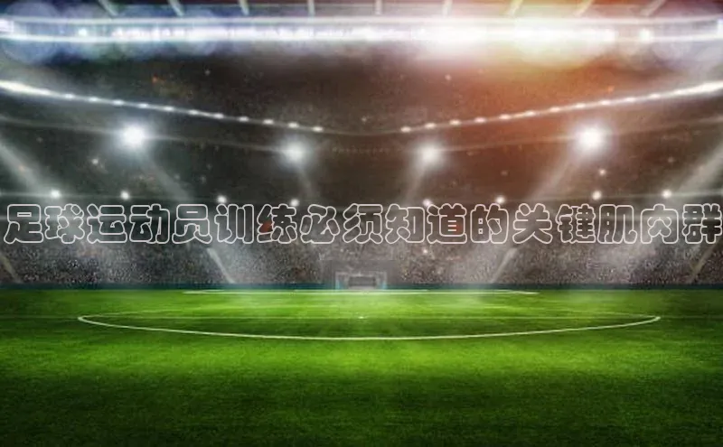欧陆在线登录颐驰 06足球运动员训练必须知道的关键肌肉群