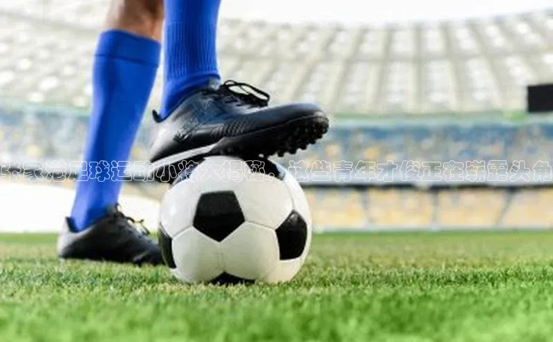 欧陆登录网址荣信文化张家港足球运动小将大揭秘，这些青年才俊正在崭露头角