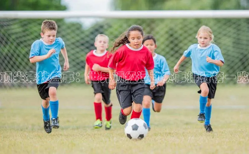 顶尖竞技盛事：世界顶级运动赛事排行榜一览