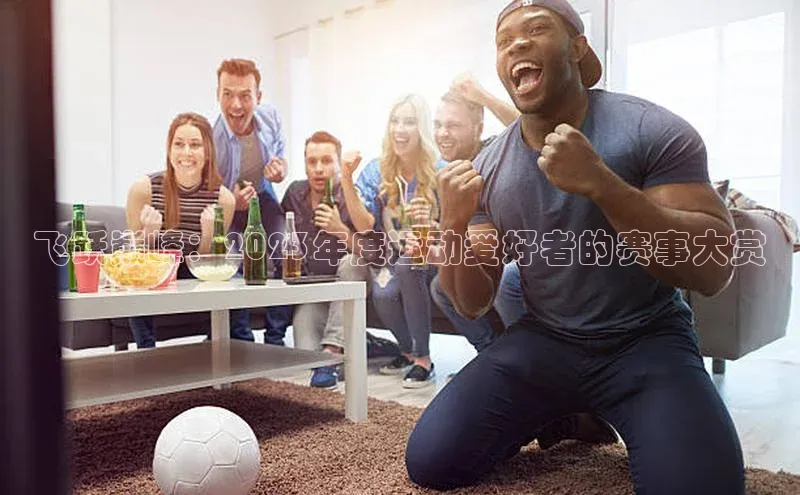 飞跃巅峰：2023年度运动爱好者的赛事大赏