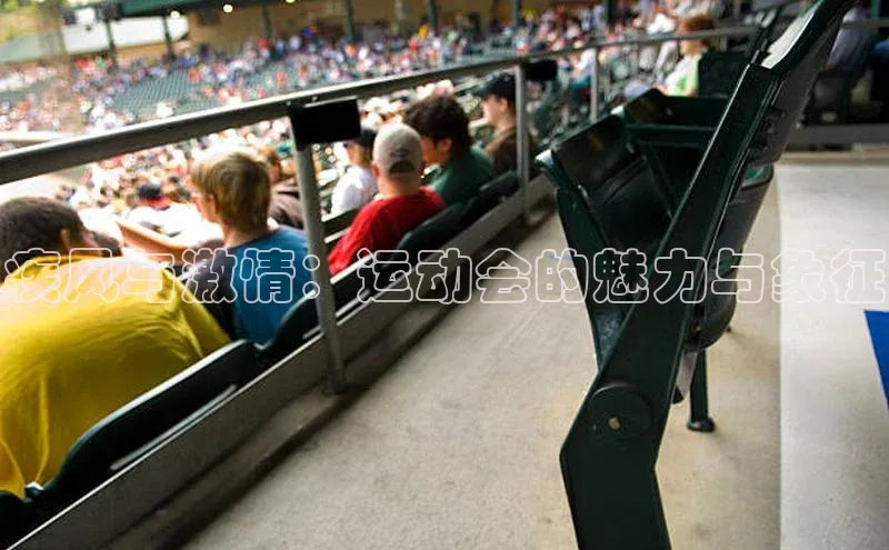 疾风与激情：运动会的魅力与象征