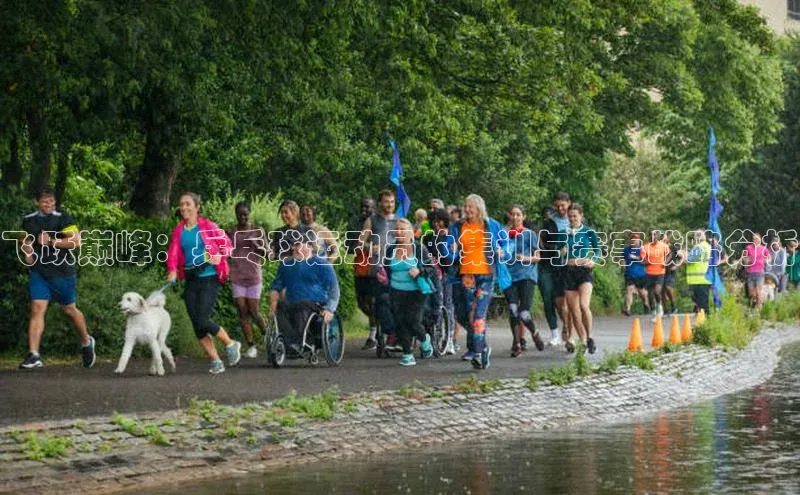 飞跃巅峰：乒乓球运动员的集训与赛事战略分析