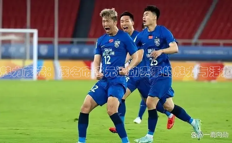 魅力茂港：茂名市多元运动赛事的魅力与活力