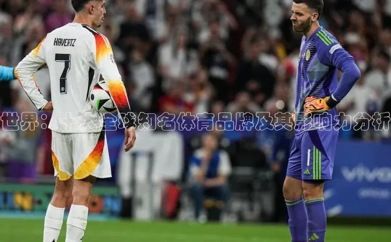 世界：十大全球知名体育品牌及其影响力分析