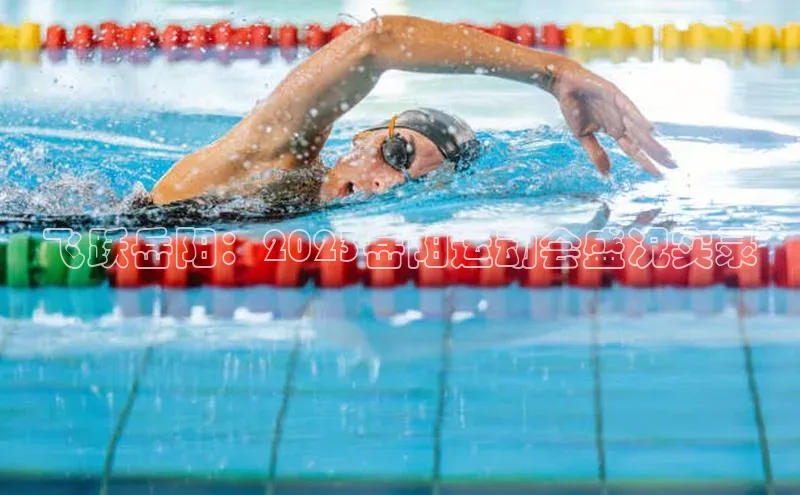 飞跃岳阳：2023岳阳运动会盛况实录