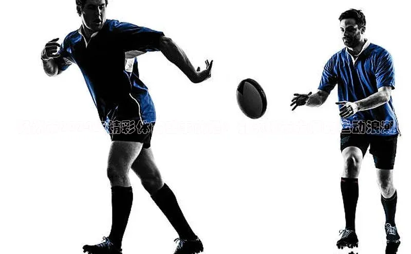 扬州市2024年精彩体育盛事前瞻：引领城市发展的运动浪潮