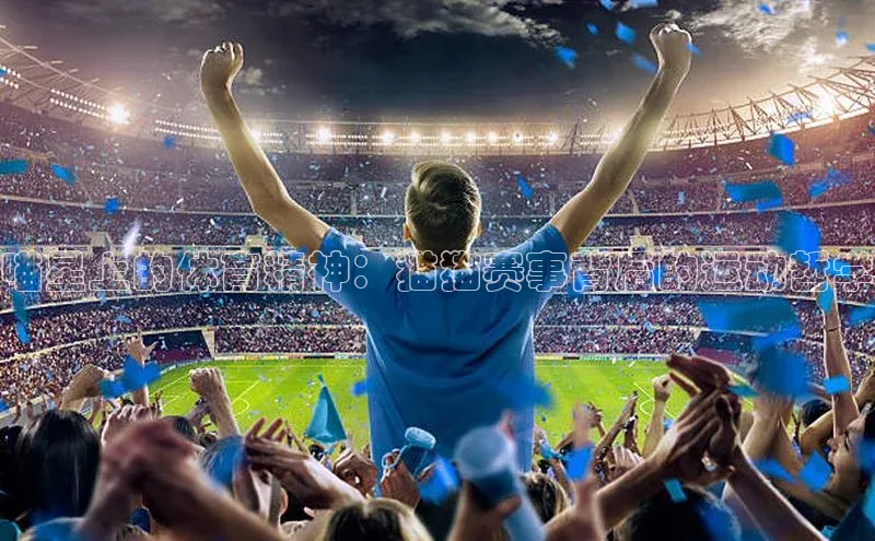 喵星上的体育精神：猫猫赛事背后的运动哲学