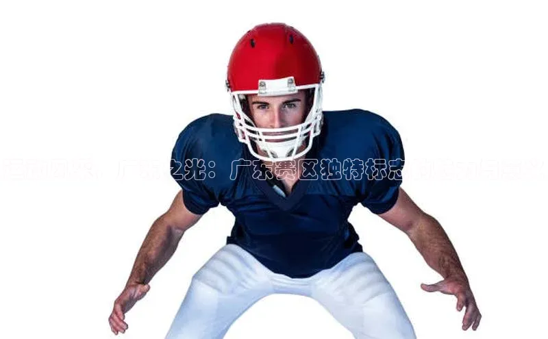 运动风采，广东之光：广东赛区独特标志的魅力与意义