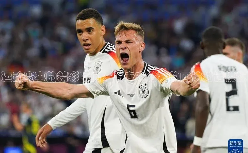 运动赛事的精彩瞬间：与专家分享的回访对话模板