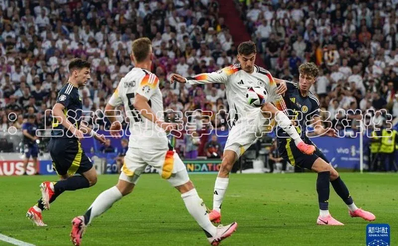 ：上海运动赛事的丰富多样性