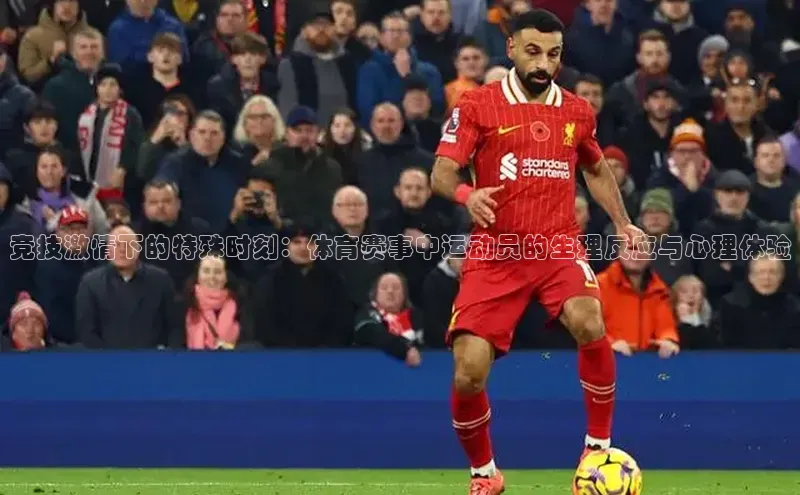 欧陆娱乐登录入口官网