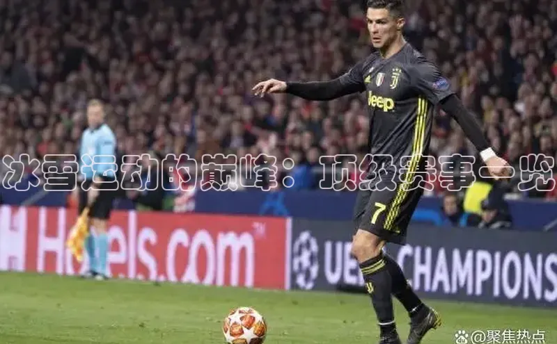 冰雪运动的巅峰：顶级赛事一览