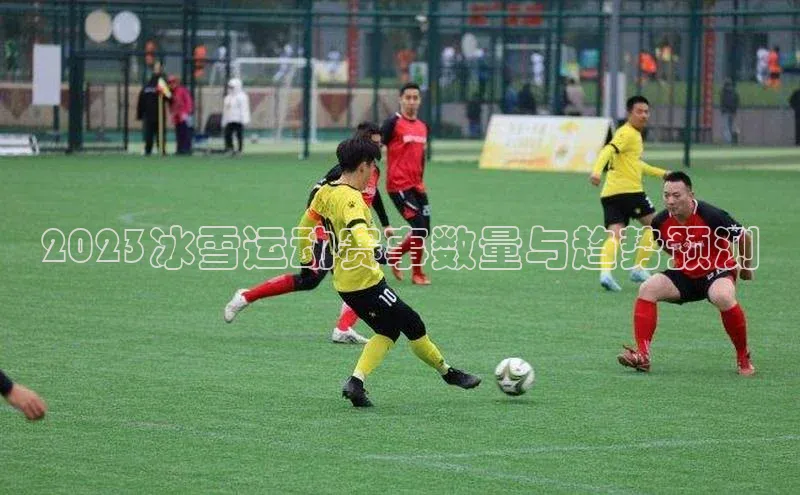 2023冰雪运动赛事数量与趋势预测