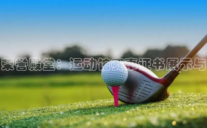 荣誉殿堂：运动馆赛事证书展示与