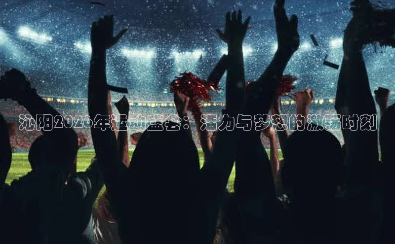 沁阳2026年运动盛会：活力与梦想的激荡时刻